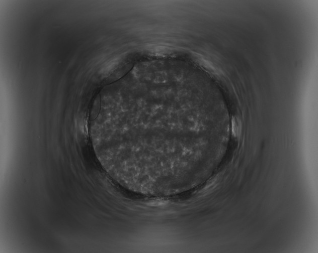 X0000086911155200705071258