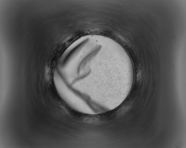 X0000086911156200705071258