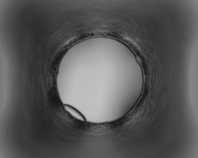 X0000086911159200705071258