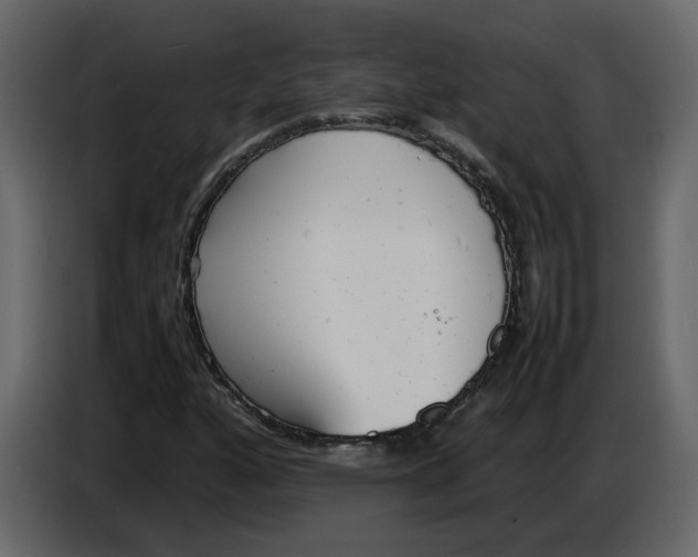 X0000086911160200705071258