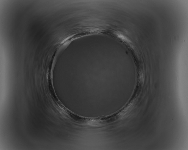 X0000086911161200705071258