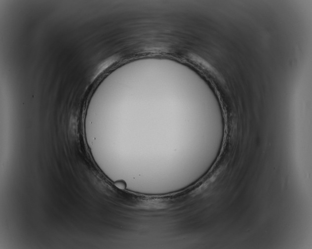 X0000086911162200705071258