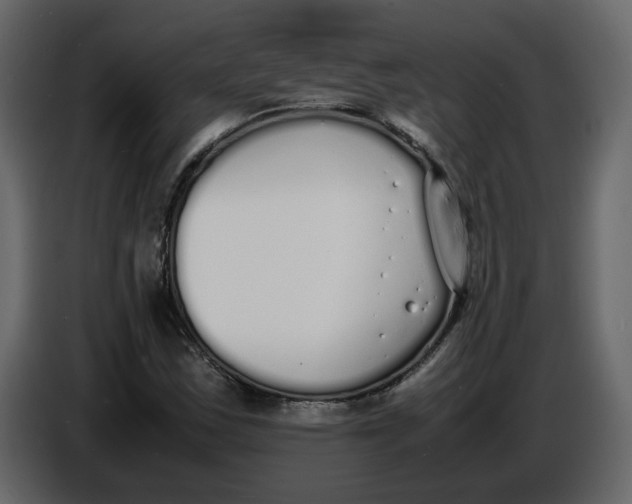 X0000086911163200705071258