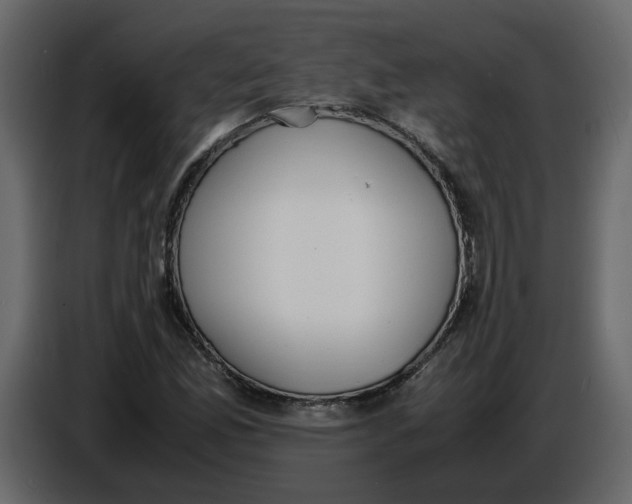 X0000086911165200705071258