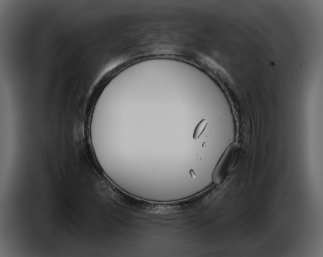 X0000086911166200705071258