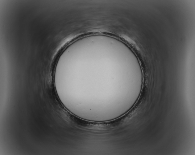 X0000086911167200705071258