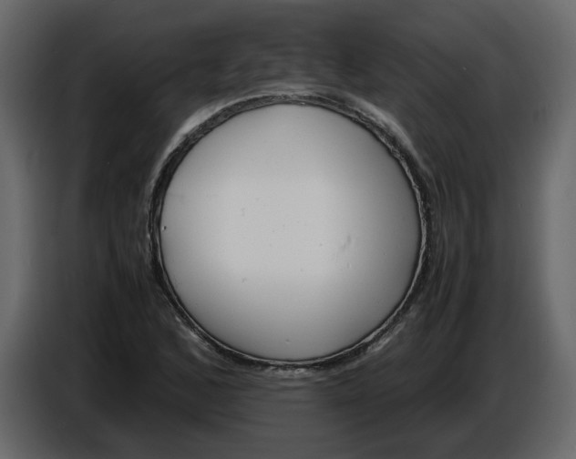 X0000086911168200705071258