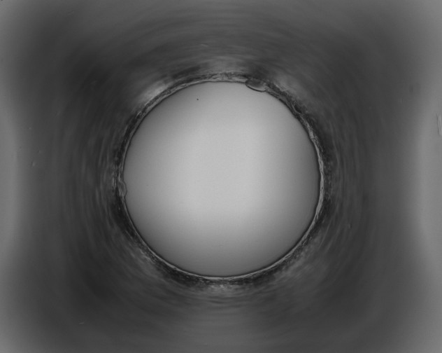 X0000086911169200705071258