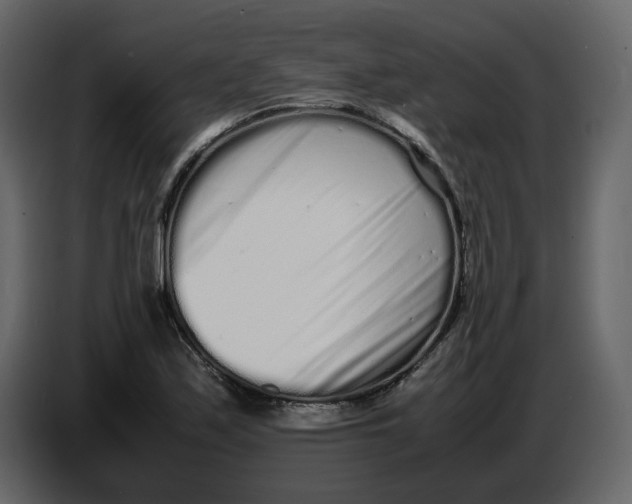 X0000086911171200705071258