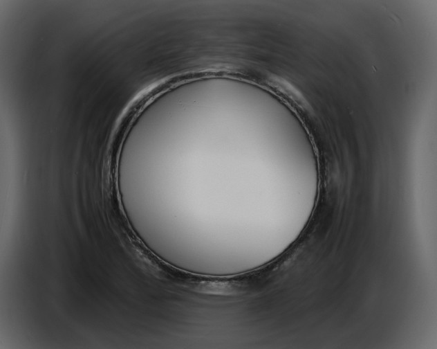 X0000086911172200705071258