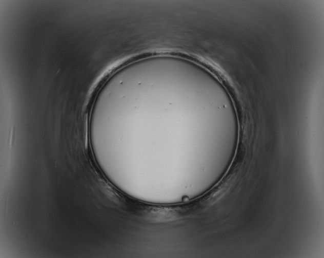 X0000086911175200705071257