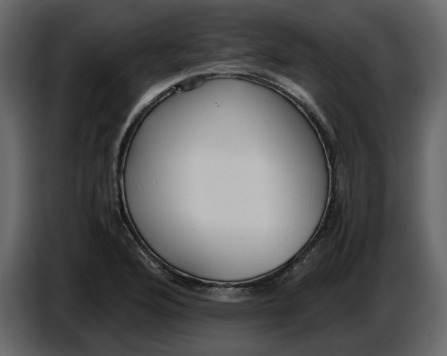 X0000086911176200705071257