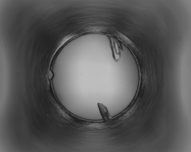 X0000086911178200705071257