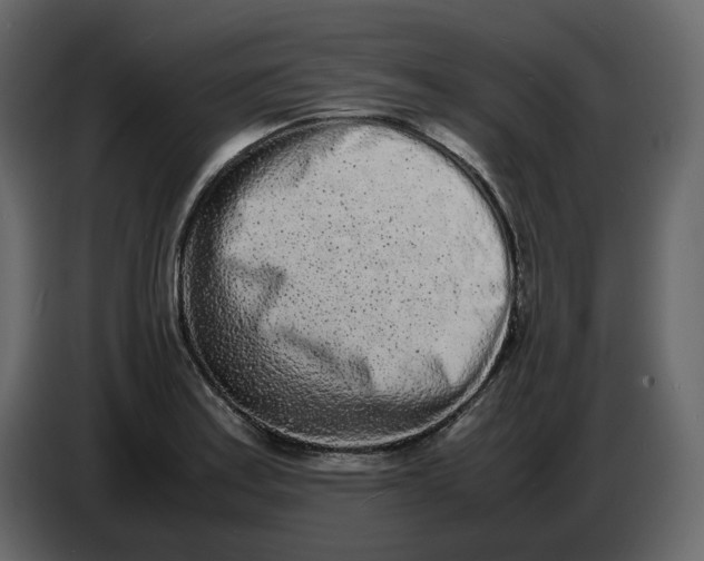 X0000086911179200705071257