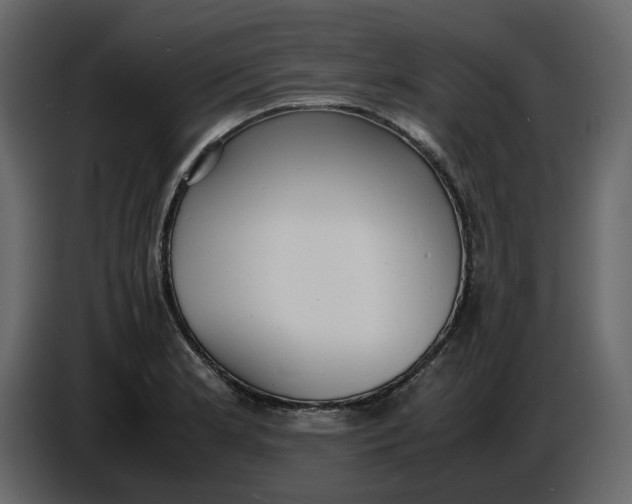 X0000086911181200705071257