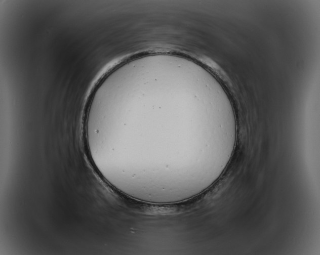 X0000086911183200705071257