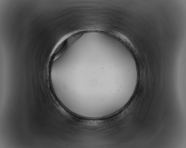 X0000086911184200705071257