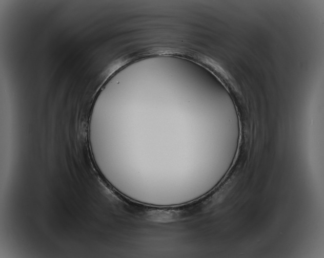 X0000086911185200705071257