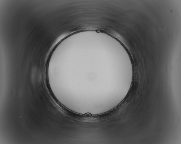 X0000086911187200705071257