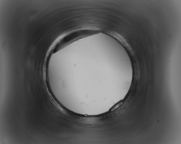 X0000086911188200705071257