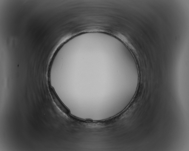 X0000086911189200705071257