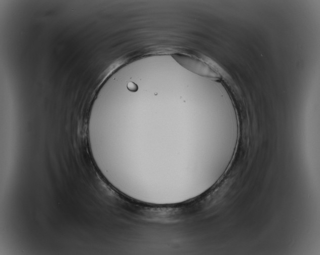 X0000086911193200705071257