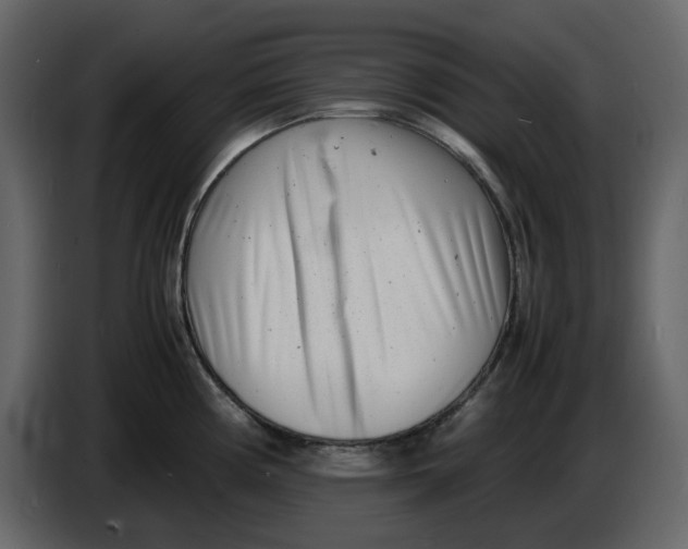 X0000086911194200705071257