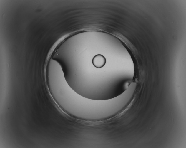 X0000086911196200705071257