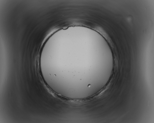 X0000086911198200705071257