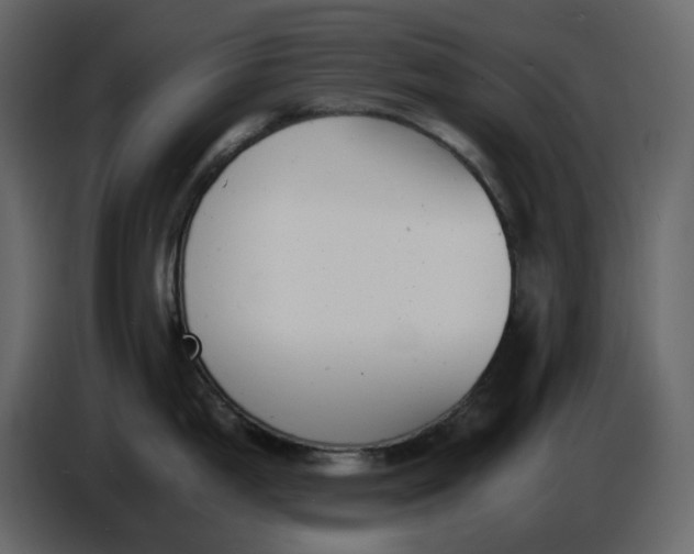 X0000086911199200705071257