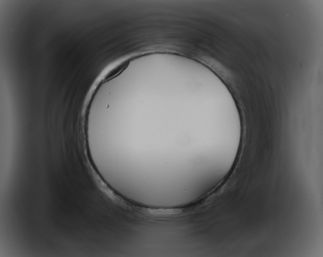 X0000086911200200705071257