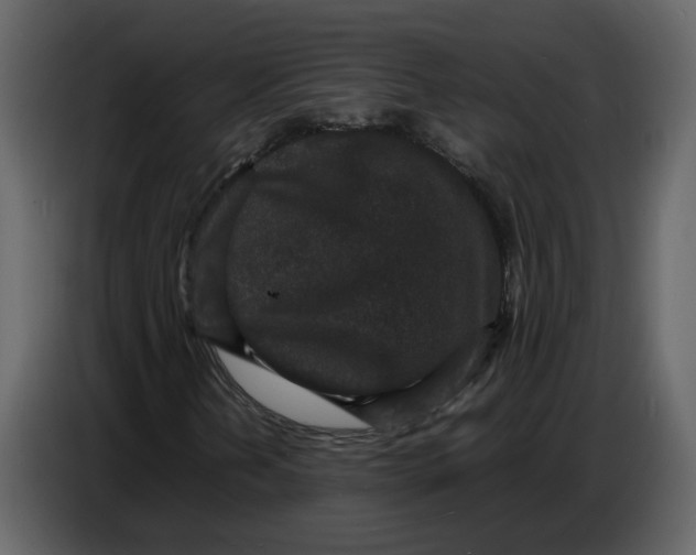 X0000086911202200705071257