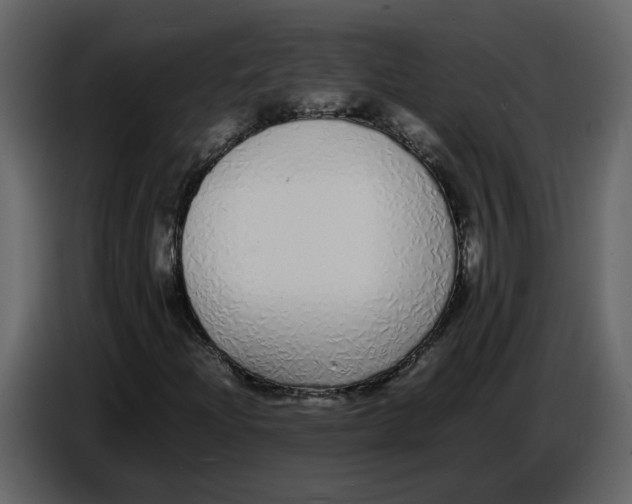 X0000086911204200705071257