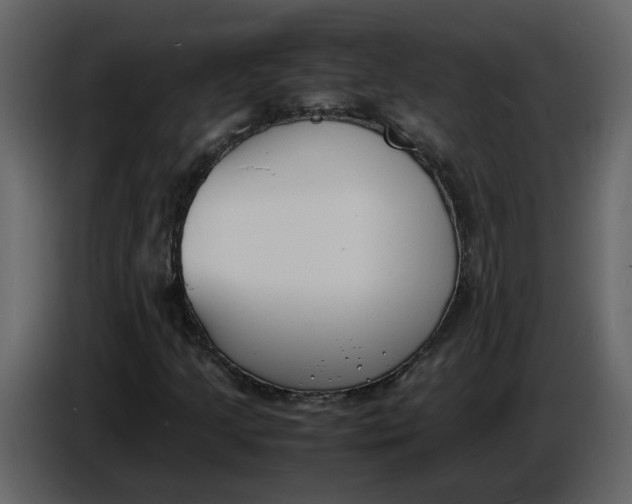 X0000086911205200705071257