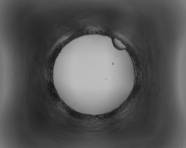 X0000086911207200705071257