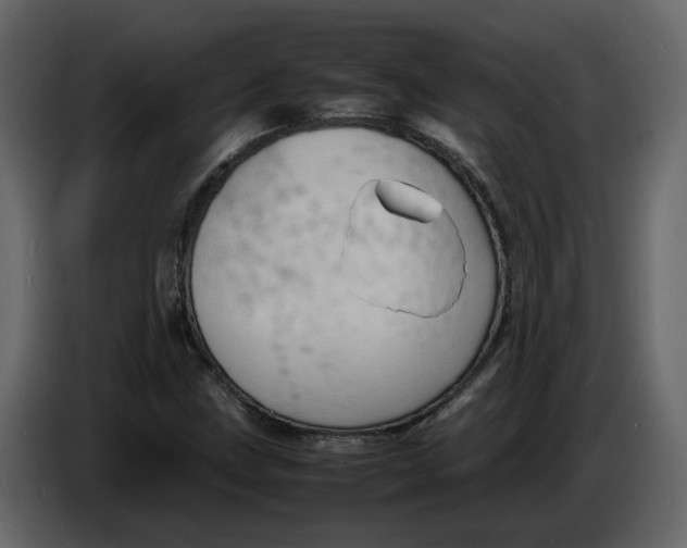 X0000086911211200705071257