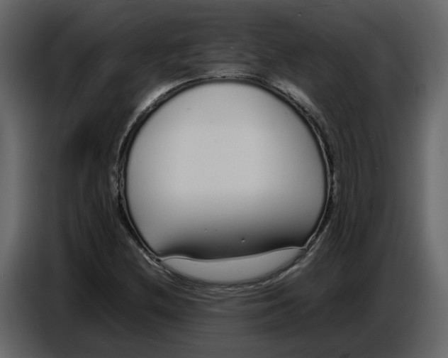 X0000086911212200705071257