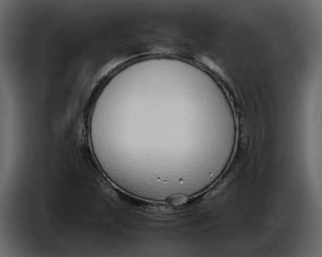 X0000086911215200705071257