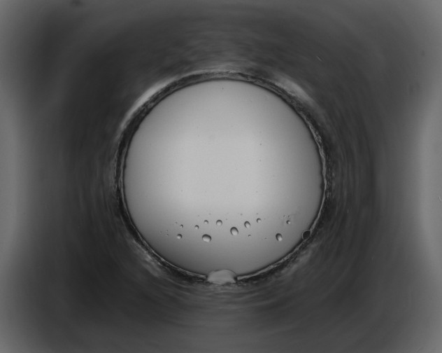 X0000086911216200705071257