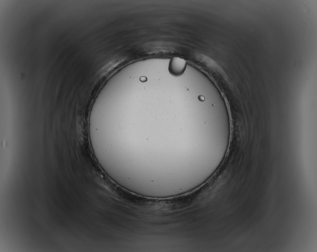 X0000086911217200705071257