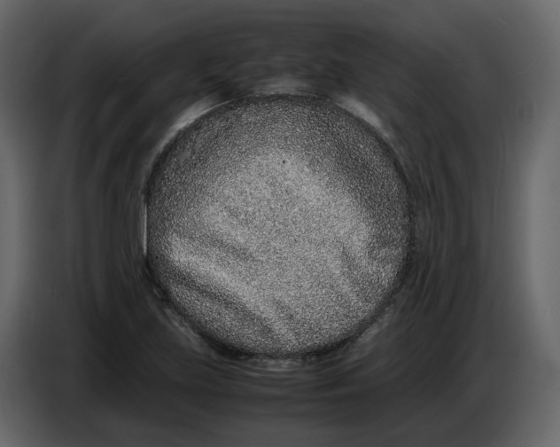 X0000086911219200705071257