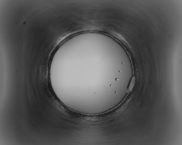 X0000086911220200705071257