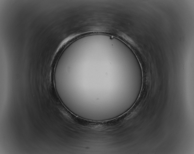 X0000086911222200705071257