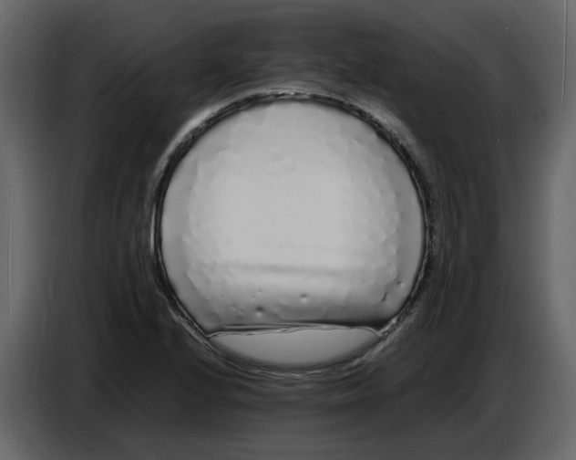 X0000086911224200705071257