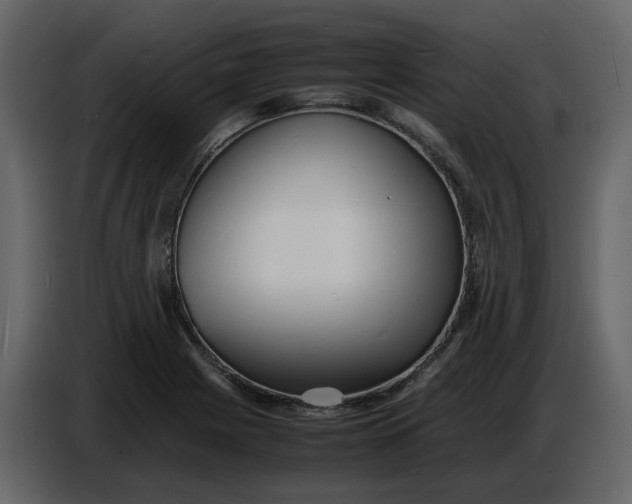 X0000086911225200705071257