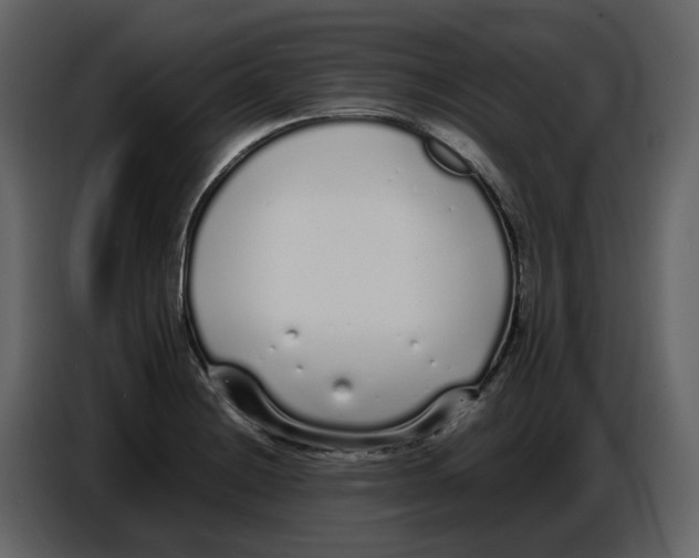 X0000086911228200705071257