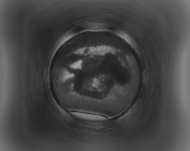 X0000086911229200705071257