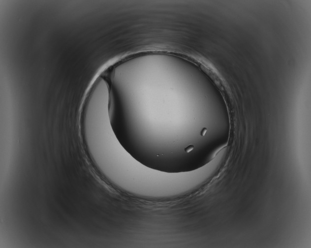 X0000086911230200705071257