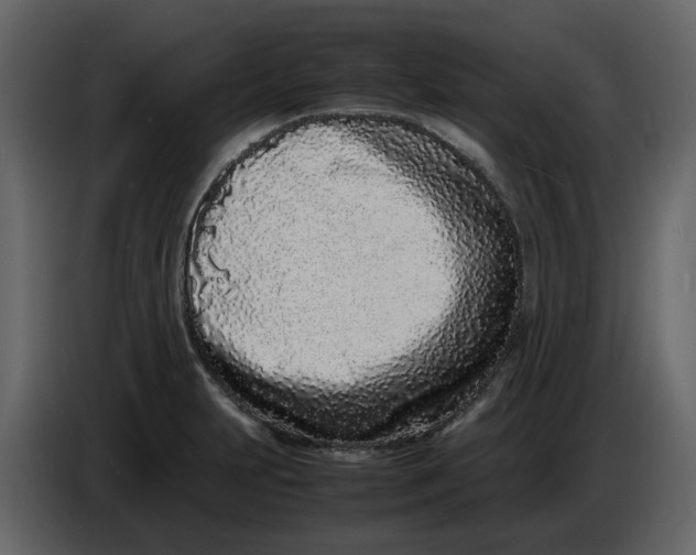 X0000086911231200705071257