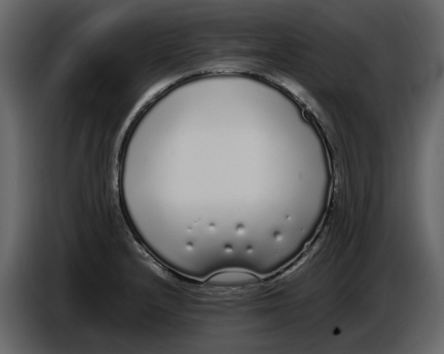 X0000086911232200705071257